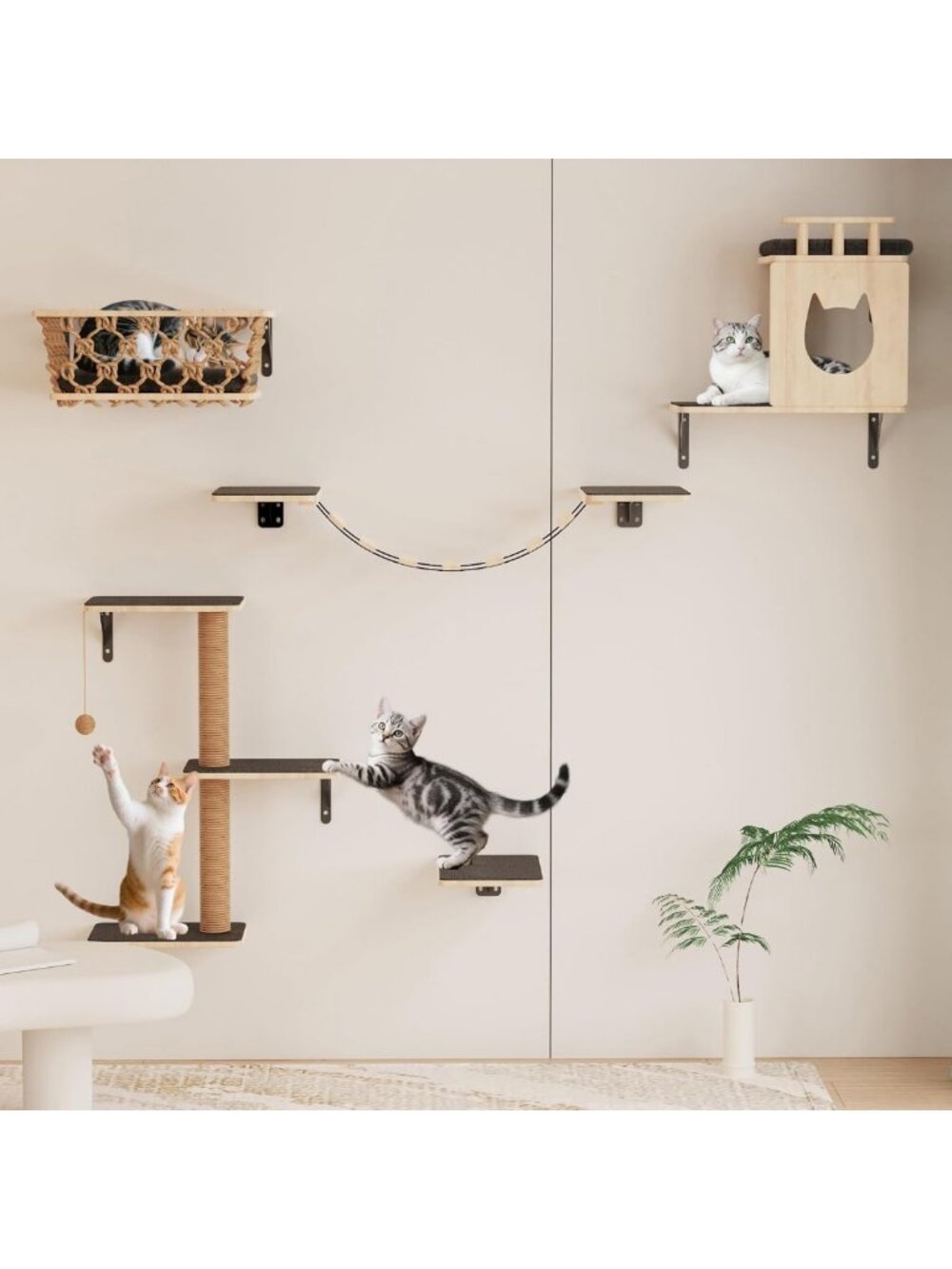 5-in-1 Cat Wall Shelves Set with Hammock, Condo, Bridge & Steps - Indoor Cat